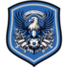 https://img.hndianlan.com/img/football/team/09bb5b9732bc080d522c37e74ce70004.png